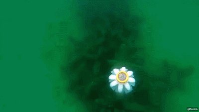 U.S. Researchers create 3D printed jellyfish robots to monitor fragile coral reefs bit.ly/2NWNEKZ via @3DPrintMaven