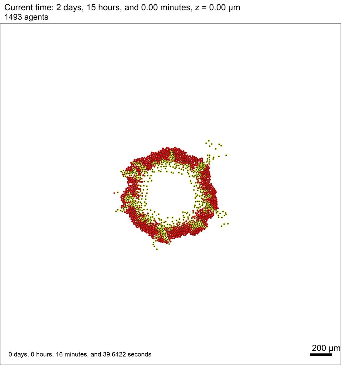 MathCancer's tweet image. #PhysiCell 1.4.1 is released! Mostly minor bugfixes, but also improved @MultiCellDS XML outputs that simplify loading data in Matlab. 

Download: sourceforge.net/projects/physi…
Alt: github.com/MathCancer/Phy… 
Reference: journals.plos.org/ploscompbiol/a…