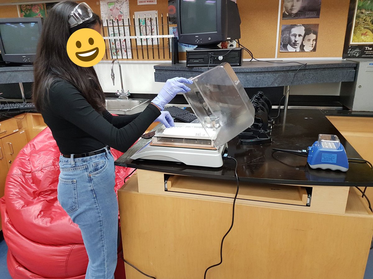 ms_pham_science's tweet photo. Transforming bacteria today @TDSB_Kipling @kootarm @ABEUTM1 @han85_han https://t.co/fCKxQnARjT