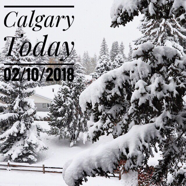 TurcatoKim's tweet photo. Adding to your daily barrage of snow photos! 

THIS is the challenge #yyc Realtors face every year! We think it's kind of beautiful! #adventure #yycweather #yycsnow #snowtober #Realtor #realtorlife #snowday #snowfall #snow https://t.co/9TMCcPTZHU