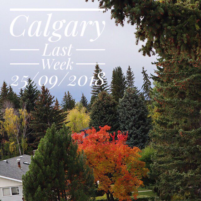 TurcatoKim's tweet photo. Adding to your daily barrage of snow photos! 

THIS is the challenge #yyc Realtors face every year! We think it's kind of beautiful! #adventure #yycweather #yycsnow #snowtober #Realtor #realtorlife #snowday #snowfall #snow https://t.co/9TMCcPTZHU