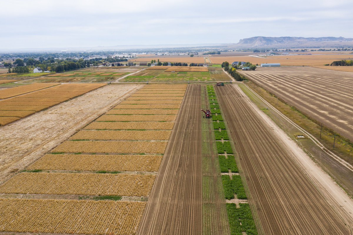 2018 beet harvest is done. Big thanks to our beet harvest crew!