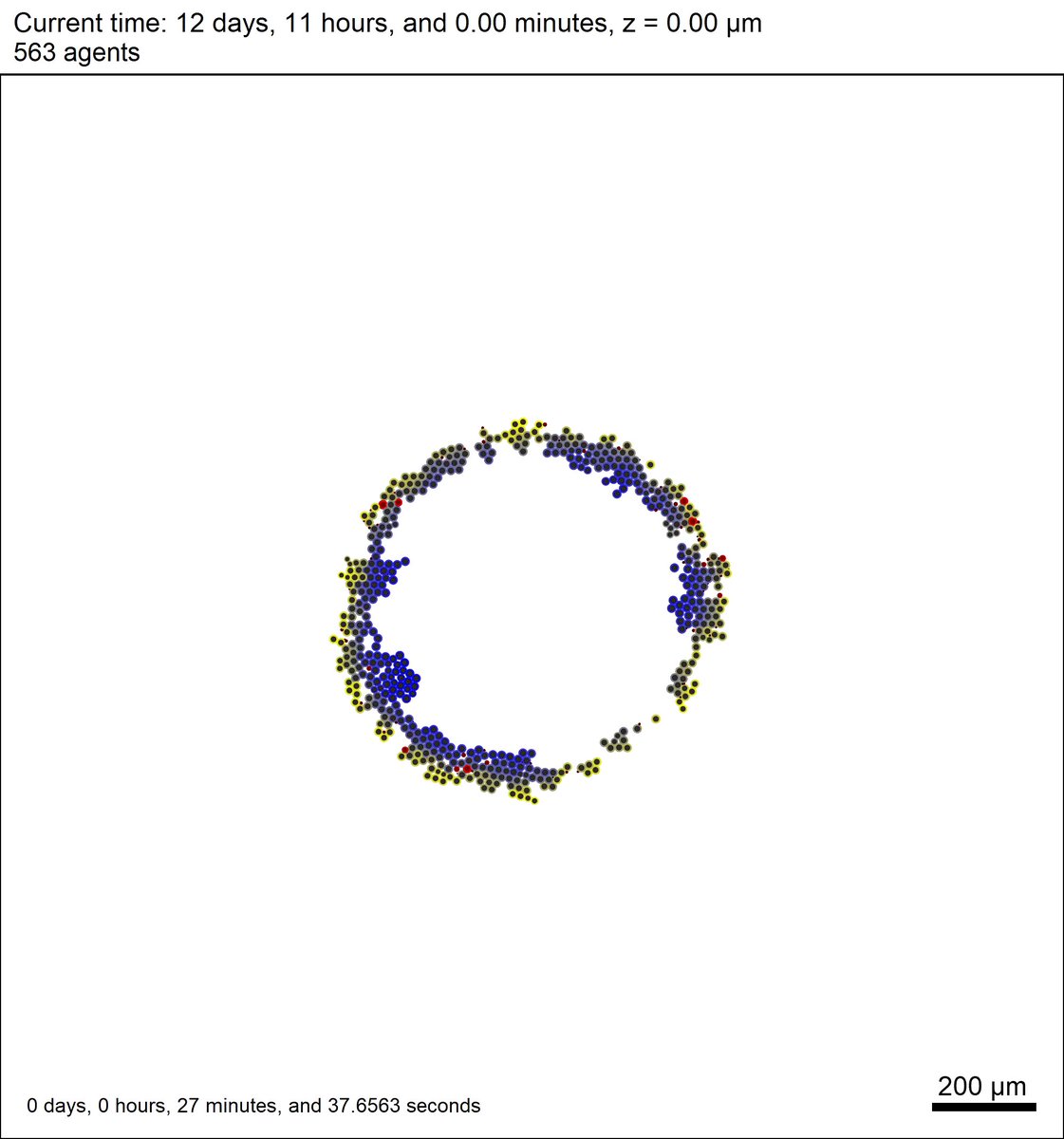 #PhysiCell 1.4.1 is released! Mostly minor bugfixes, but also improved <a href="/MultiCellDS/">MultiCellDS</a> XML outputs that simplify loading data in Matlab. 

Download: sourceforge.net/projects/physi…
Alt: github.com/MathCancer/Phy… 
Reference: journals.plos.org/ploscompbiol/a…