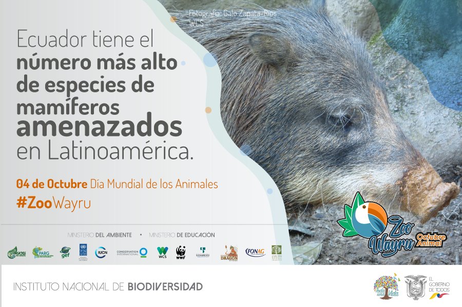 Wcs Ecuador On Twitter Ecuador Reporta 101 Especies De