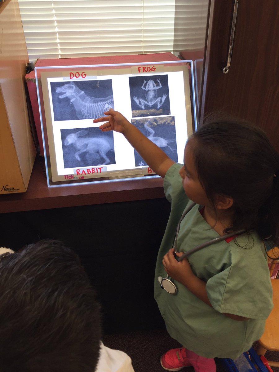 Amanda_M_Baca's tweet photo. The pets unit is always a big hit! What’s cuter than 4 year old veterinarians!? #RISDPrek #RISDCONNECTS #RISDGreateness https://t.co/CYQ7mIkXQa