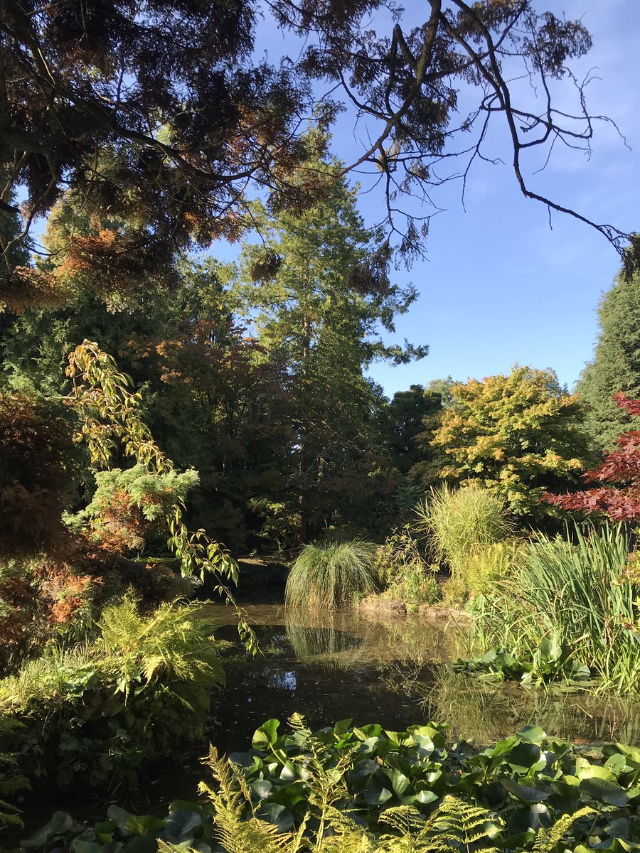 Premier Limos & Wedding Car Hire tweet media