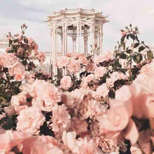 httpsSUNFLOWERS's tweet image. you are amazing, never stop loving yourself ♡