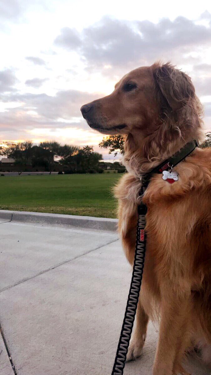 Anyone else capture that post-rain sunset tonight?! Let’s see it! #AZYB