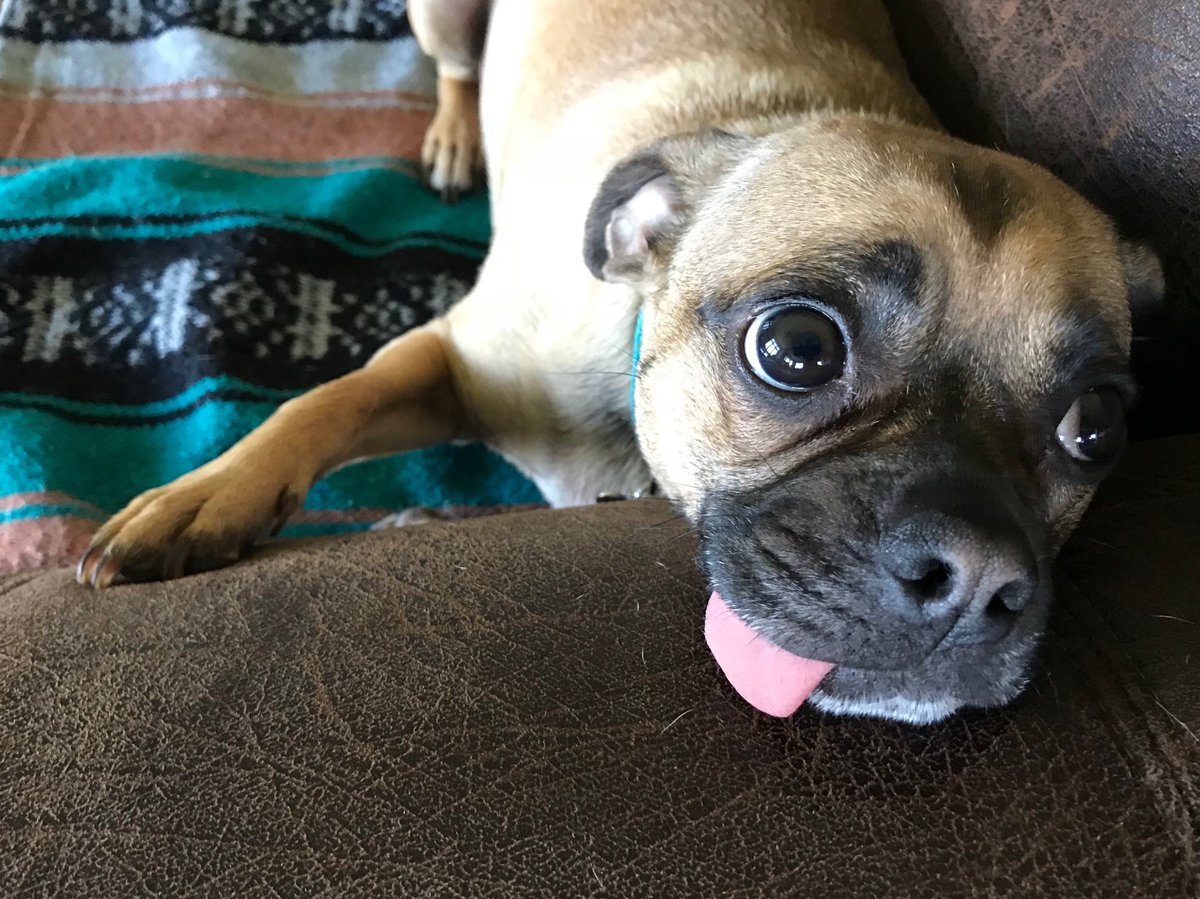 Miller_BMS's tweet image. Hey world, what’s up?!?