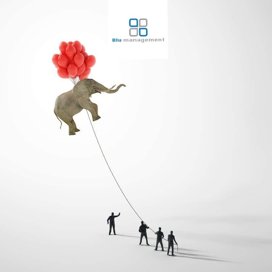 management_blu's tweet photo. Contact today -

https://t.co/8dY2ABPegA

#TeamBuildingActivities #BluManagement  #Teamwork #TeamBuilding #InboundTraining #OutBoundTraining

Contact: +919884746122 https://t.co/tHTOFJ7rb9