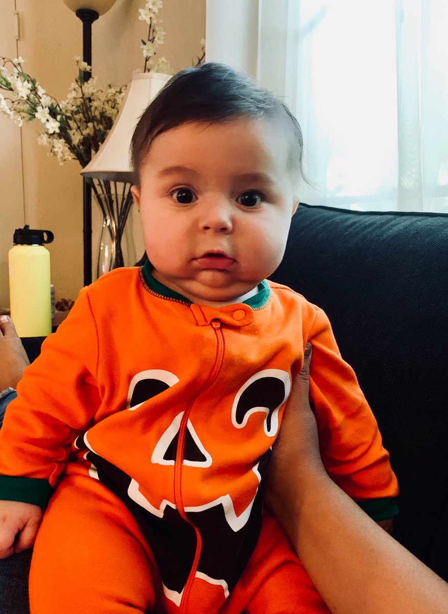 chrissy_cam's tweet photo. C’monnnnn, how cute is my lil pumpkin nephew?!

Thank you @KatrinaFoster_  for sending this. https://t.co/0pffXyqfWa