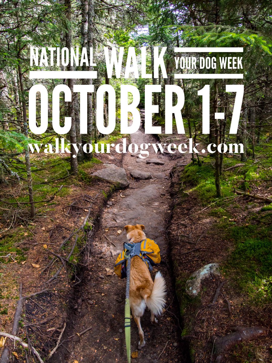 WalkYourDogWeek's tweet photo. National #WalkYourDogWeek was founded by @Colleen_Paige to bring awareness to dog obesity &amp; the need for daily exercise. Many dogs end up in the shelter because they require more exercise than their people can offer. “Love your dog? Walk your dog!” 
-Colleen Paige https://t.co/H43afVIHX3