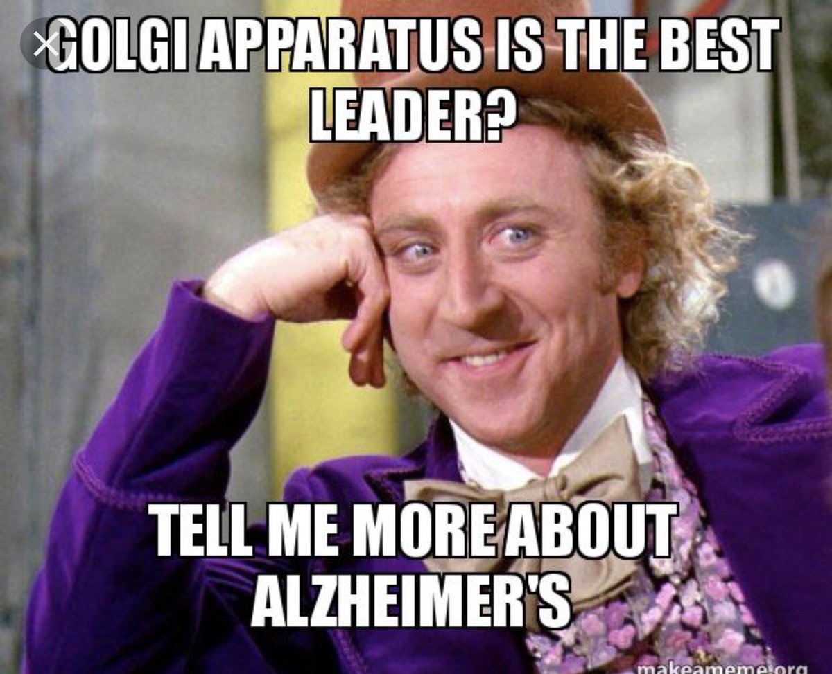 getamembrane's tweet photo. @GGolgi1 Looks like a little dysfunction with your organelle can be very harmful. Your flaws give people Alzheimer’s and Angelman’s disorder and no one wants that. #cellwarsMrsS18_07 #blockoutthehaters https://t.co/ZUjJLqlVvE