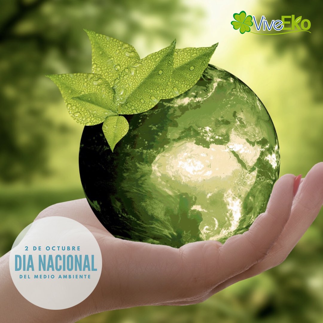 viveeko's tweet photo. Hoy 2 de Octubre es el Día Nacional del Medio Ambiente y queremos invitarlos a conocer un poco de como en ViveEko ayudamos a que este siga siendo hermoso, mientras tu también ganas por ayudarnos a lograrlo ♻️🌎

Los invitamos a ver nuestro video:
https://t.co/sK62DYnPY3 https://t.co/UHUejzZHMu