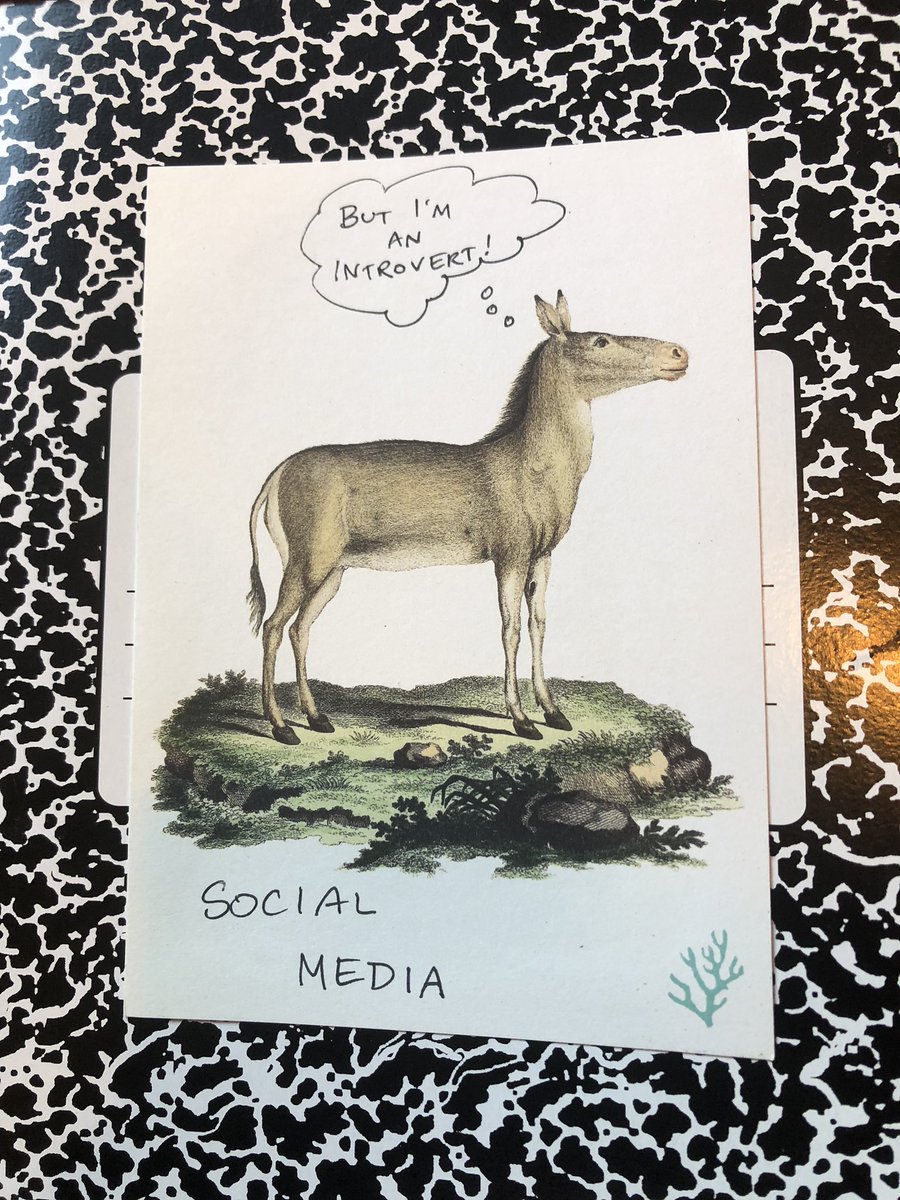 BritSonnenberg's tweet photo. @campbell_claire @TheWritingBarn #slowtweets are where it’s at! Also thought thought you’d appreciate my new social media notebook and (analog) file names. https://t.co/p1BXEMrsFU