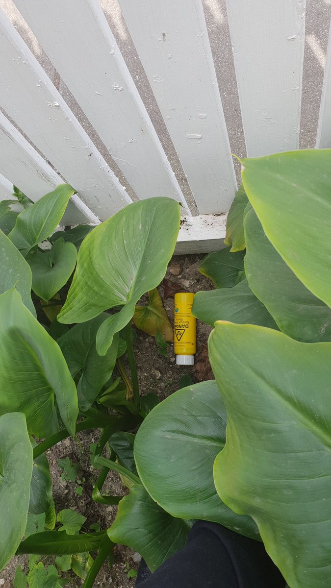 Rob2563's tweet photo. Another take home drug consumables bottle left for the kids in the front garden. Thanks for your safe drug program. Safe for them I guess. @NRCHaus @VicHealth @DanielAndrewsMP https://t.co/g5AXiUPjgY