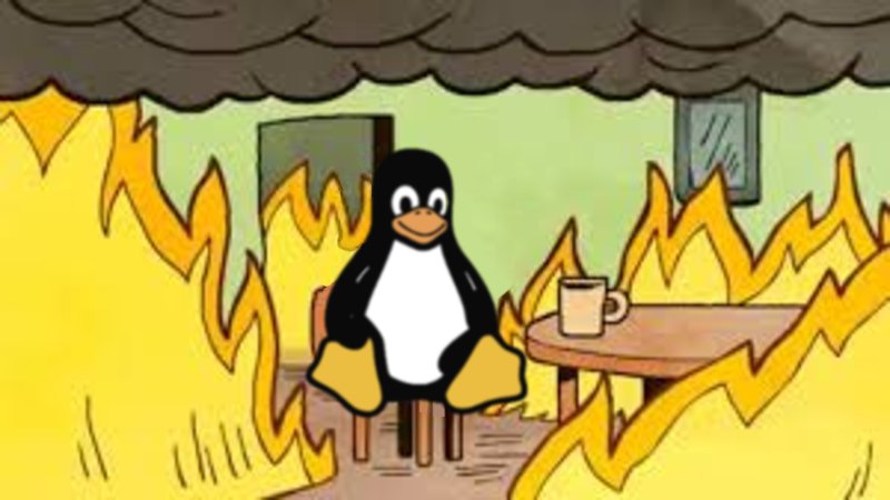 BasedBrainTumor's tweet photo. #LinuxGate: Open Source Leader Linus Torvalds Surrenders Linux to Social Terrorists https://t.co/AqHZNdMkbD https://t.co/SrkHXp4ZlF