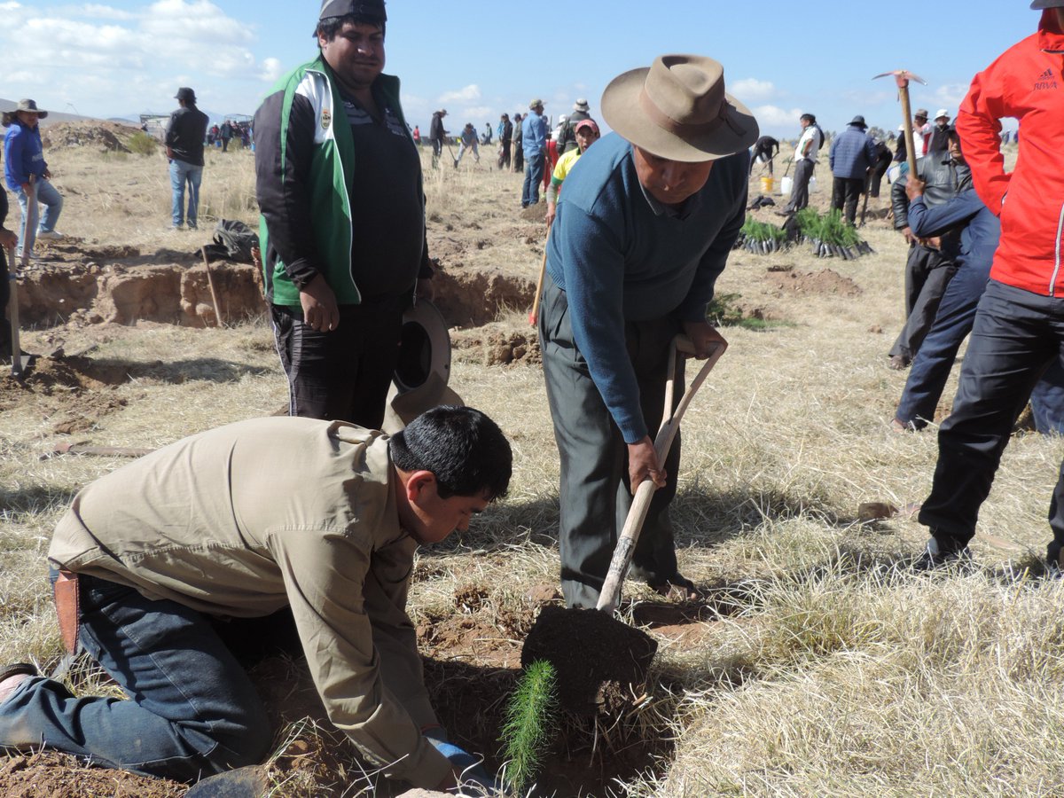 JDFATOS's tweet image. La Gobernación de Chuquisaca hoy celebra el Día Nacional del Árbol, con una campaña de Forestación y Reforestación en el sector de Alcantari, 
La J-DFATOS  con todo el Equipo de Trabajo participando en la plantación de Arboles encabezado por  Leonardo Maturano y  Leoncio Layme .