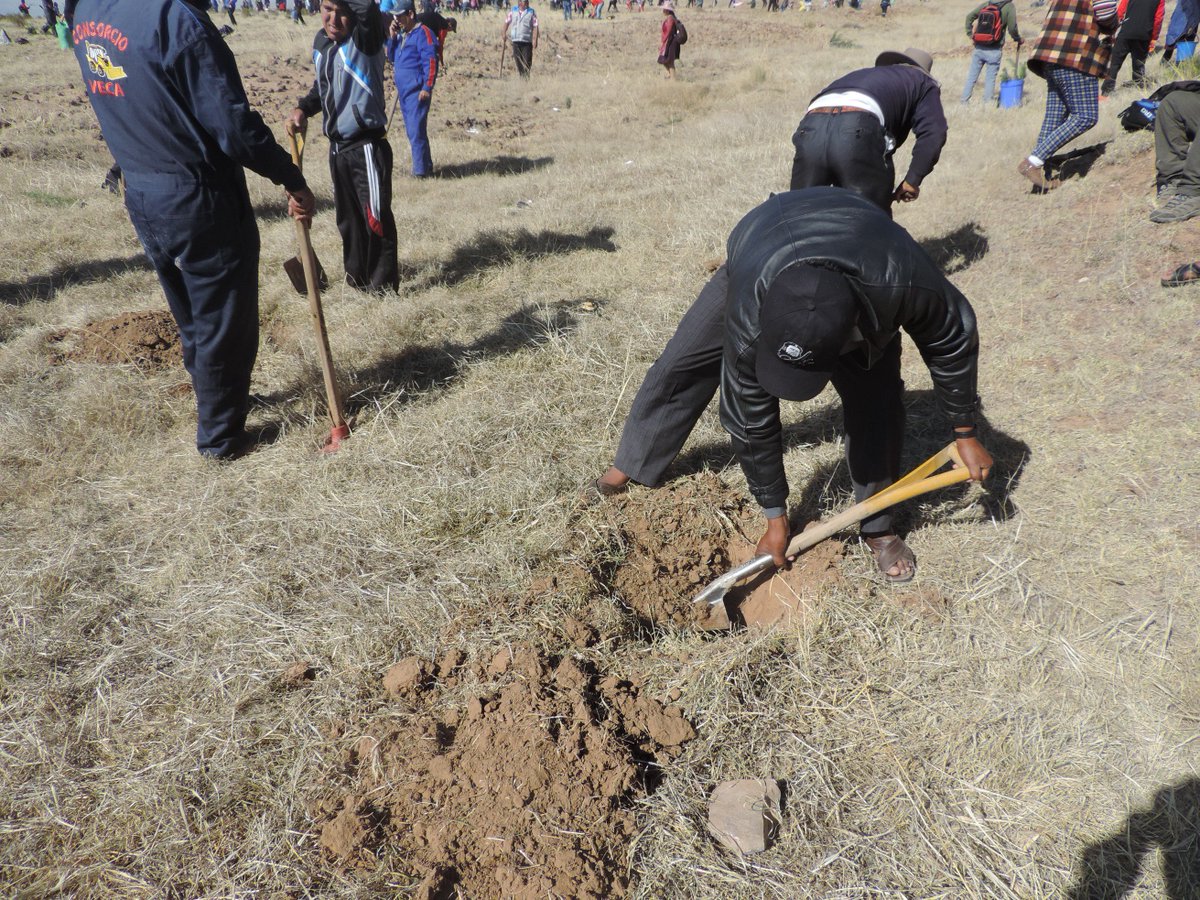 JDFATOS's tweet image. La Gobernación de Chuquisaca hoy celebra el Día Nacional del Árbol, con una campaña de Forestación y Reforestación en el sector de Alcantari, 
La J-DFATOS  con todo el Equipo de Trabajo participando en la plantación de Arboles encabezado por  Leonardo Maturano y  Leoncio Layme .