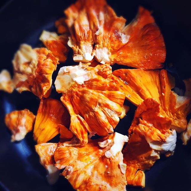 AimeeBida's tweet photo. Calling on @justintimberlake to rename his #MOTWTOUR to #COTWTOUR πππ²πΊ
.
.
#chickenofthewoods #chickenofthewoodsmushrooms #shrooms #plantbased #healthy #feedfeed #eatmoreplants #justintimberlake #plantpowered #athlete #iwill #foodie #instagood #james⦠https://t.co/yN6vvu8LGV https://t.co/JNCSe2oI3W