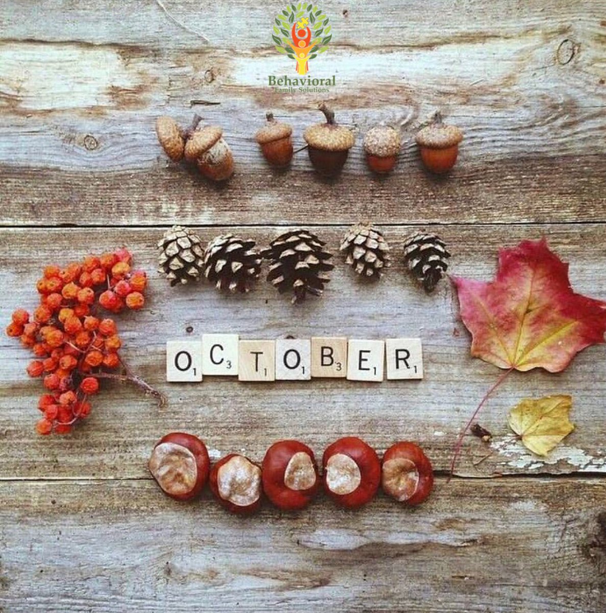 BFS_SoFlo's tweet photo. 🍁 O C T O B E R 🍁
The time when Mother Nature starts to show off!
.
Are you feeling the fall vibes yet?
.
.
#BFS #october🍁 #ABAtherapy #ABA #autism #autismawareness #ASD #PT  #hiring #BCBAD #BCBA #BCaBA #RBT https://t.co/A2celVG7LV