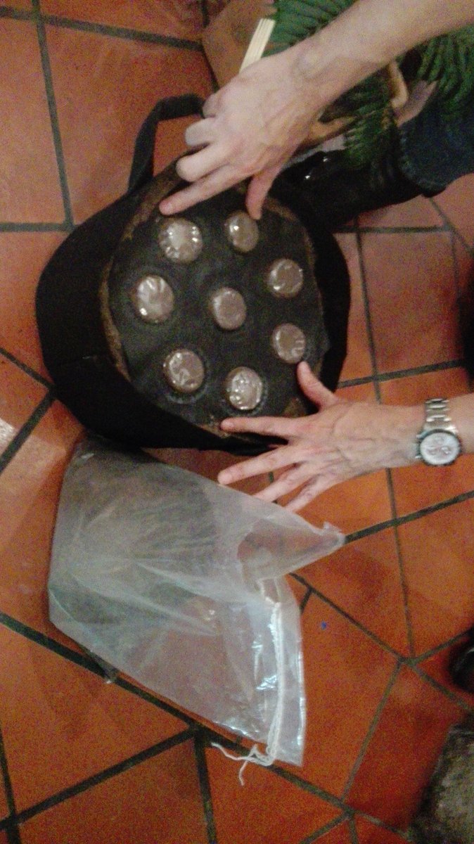 CesarJerezM's tweet photo. #Ahora sembramos el primer kit Agropods de agricultura urbana en @reserva_cafe con el profesor Wilson Cárdenas, las plantas germinarán en 4 semanas y la primera cosecha propia de cilantro, rúgula, rábano y cebollín dentro de 8 semanas. A la venta aquí por 70K @ANZORC_OFICIAL https://t.co/4NETjAepx4