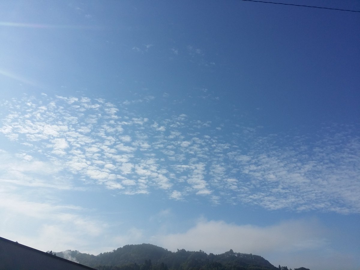 goro1cha tweet picture