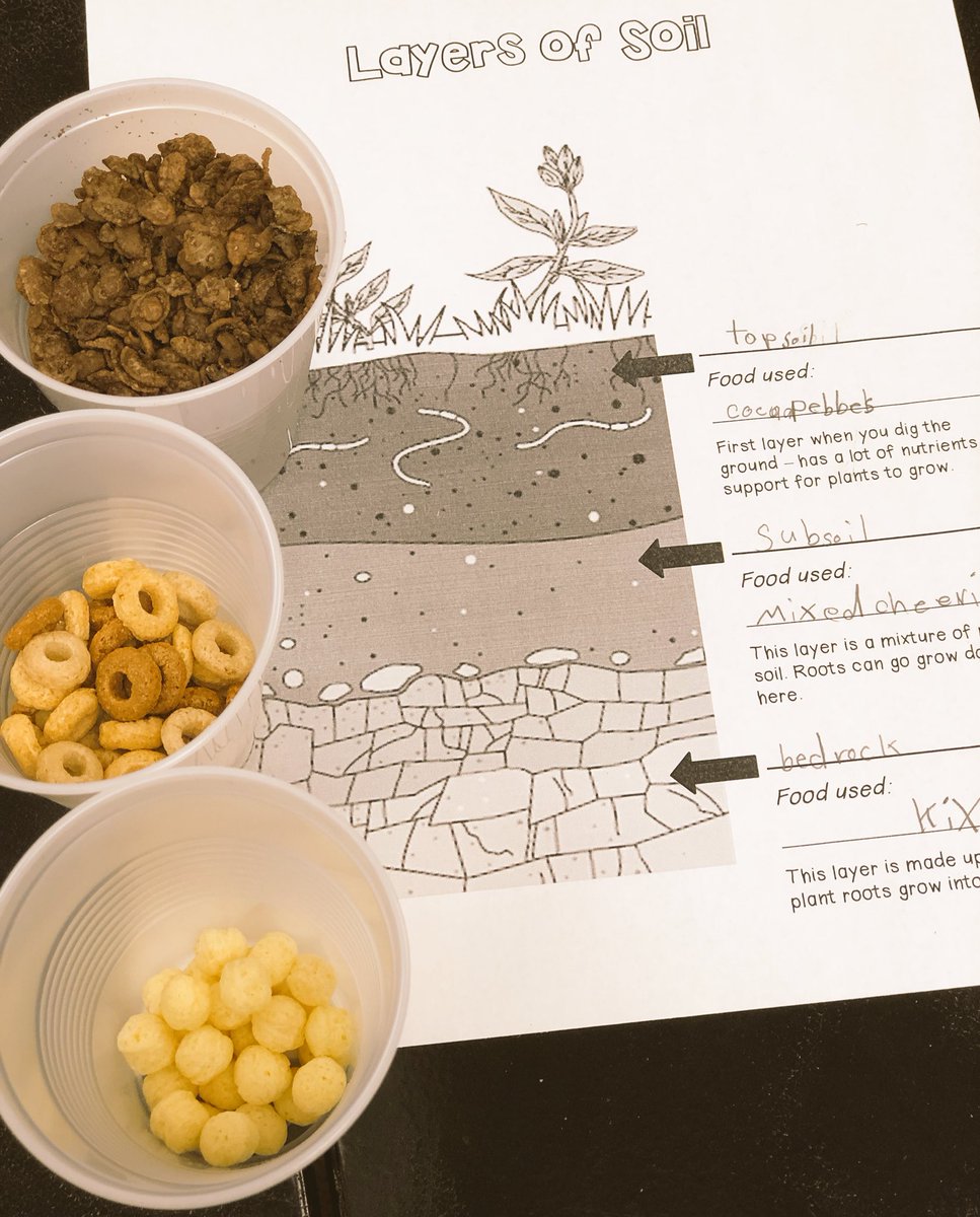MsYangCES's tweet photo. It’s always a fun time when you get to EAT what you’ve just learned! 🌱😋 #Science #Soil #LayersOfSoil #ThirdGrade #OurCES #MsYangsThirdGrade https://t.co/44UArniWvf