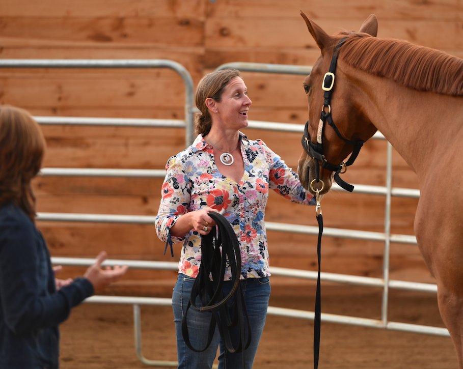 Just One Thing! - mailchi.mp/cdb0d51127bd/j…
Is there one thing your heart desires that remains illusive to you? No time like the present to take action on this front! Contact us at 613-277-4402 to book your session! unbridledcoaching.com/just-one-thing/