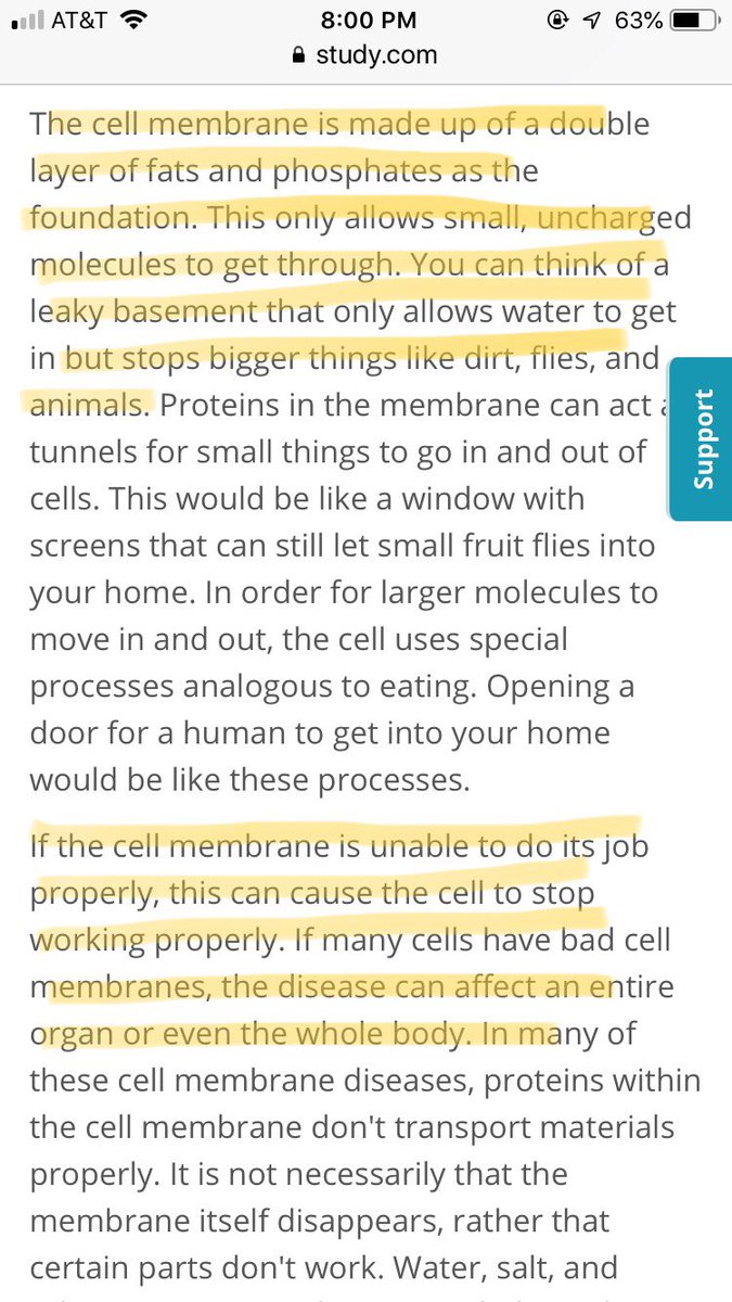 GaryGolgi's tweet photo. @DonaldMembrane Letting outside matter that can cause sickness in the cell is what you call “helping the cell”?? https://t.co/tIYW3f30YT