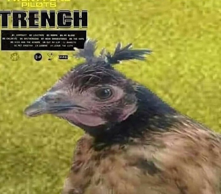clemenzacapo's tweet photo. welcome to trench https://t.co/B2MHEpu7Lg
