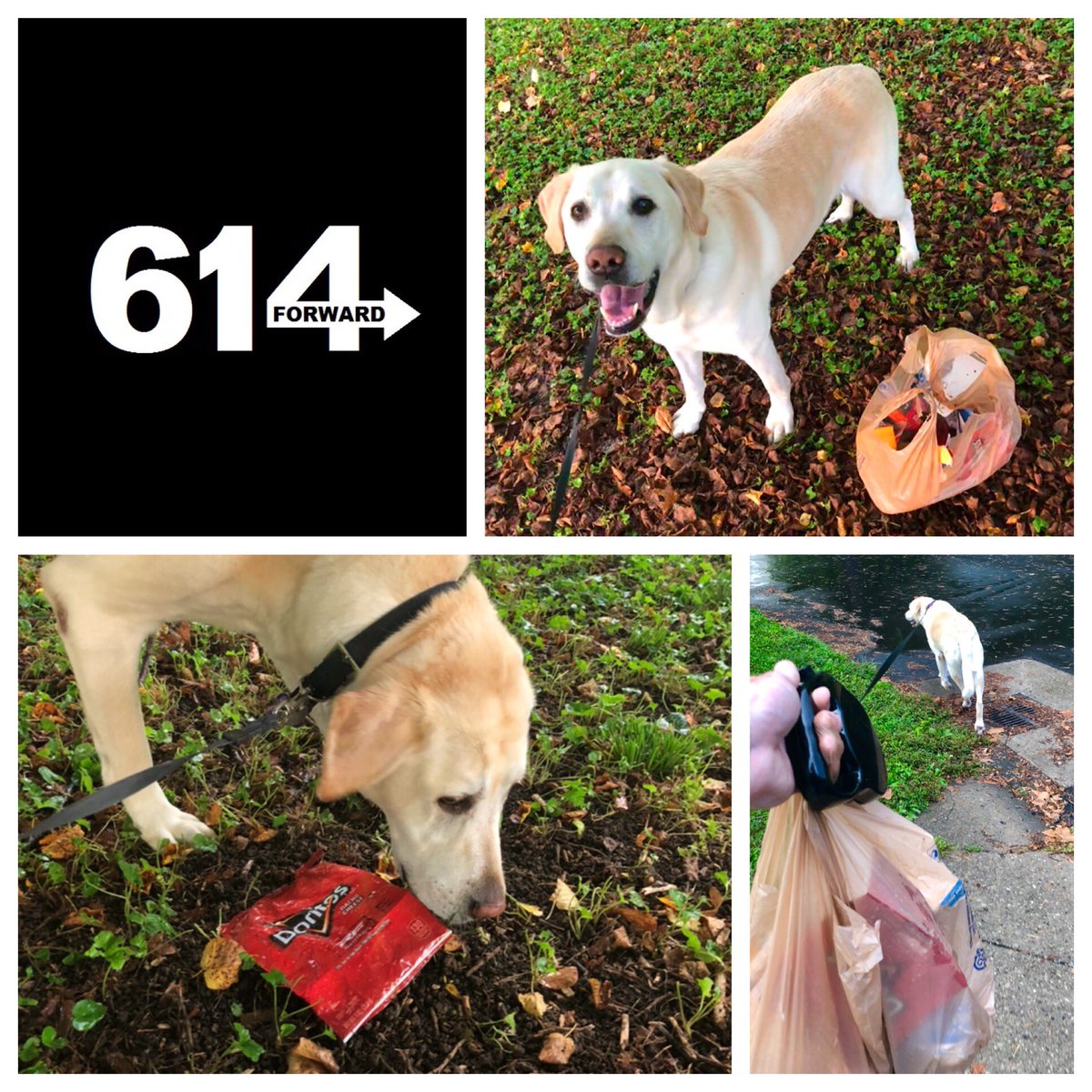 614Forward's tweet image. Easy way to pay it forward - take an extra bag next time you take your dog for a walk and pick up some trash along the way. Bonus if they decide to help. #PayItForward #Project614 #614Forward