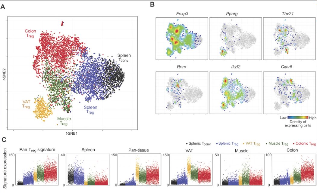 mmw_lmw's tweet photo. #Regulatory_T_Cells in NonLymphoid Tissues | Molecular Diversification | scRNA-seq analysis | Benoist & Mathis @harvardmed @SciImmunology https://t.co/ymzOdg3B61 | #Sept_ReCap https://t.co/kUO4njWhCy