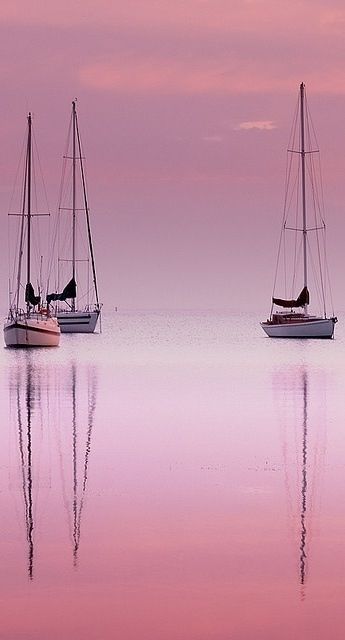 Awesome silouhettes of these boats #sailing sailinglatest.com/itemview/14842…