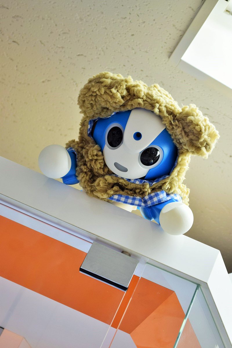 robot_shop's tweet photo. 今日は #登山の日 !!
せっかくなのでお店で一番高い場所へ!!!!
シュルシュル~~~~|つ ̄ω ̄|つ
#STEM教育 #Vduino #工作教室 #ロボット相撲 #RobotSumo
#マクソンモータ #MakerFaire #ROBOTSHOP #ロボットショップ #今日は何の日 #仮装 #コスプレ #Sota #を #探せ https://t.co/WkVCe2wHLQ