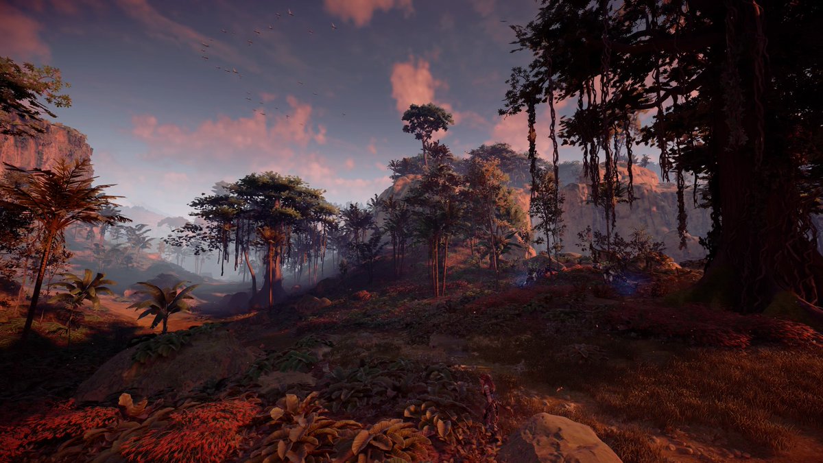 EgorooMew's tweet photo. #HorizonZeroDawn #PS4share #СкриншотНедели https://t.co/Nl5sreKroR