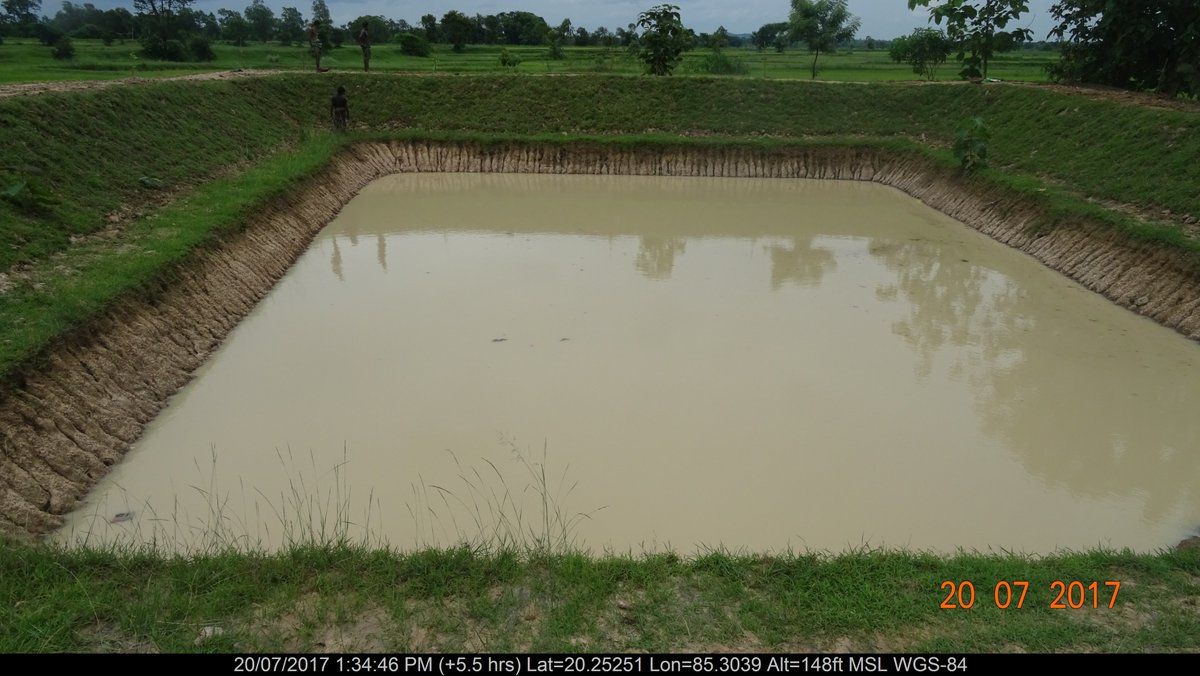 Farm Pond constructed under PMKSY (Other Intervention) during 2017 – 18 in Nayagarh District, Bhapur Block, Elapada Village, Gadagadi Nalla MWS with an expenditure of Rs. 1.18 lakhs, provides irrigation to 2 ha for 5 farmers.