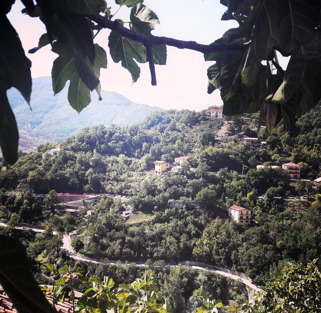 dinabenedetto52's tweet photo. #buongiornocosi
#dinabenedetto * #fotografia *
#castelmezzano
#basilicata
* Non è vero che abbiamo #poco #tempo: la verità è che ne #perdiamo #molto.*
(Seneca) https://t.co/rVBvgnQWWZ