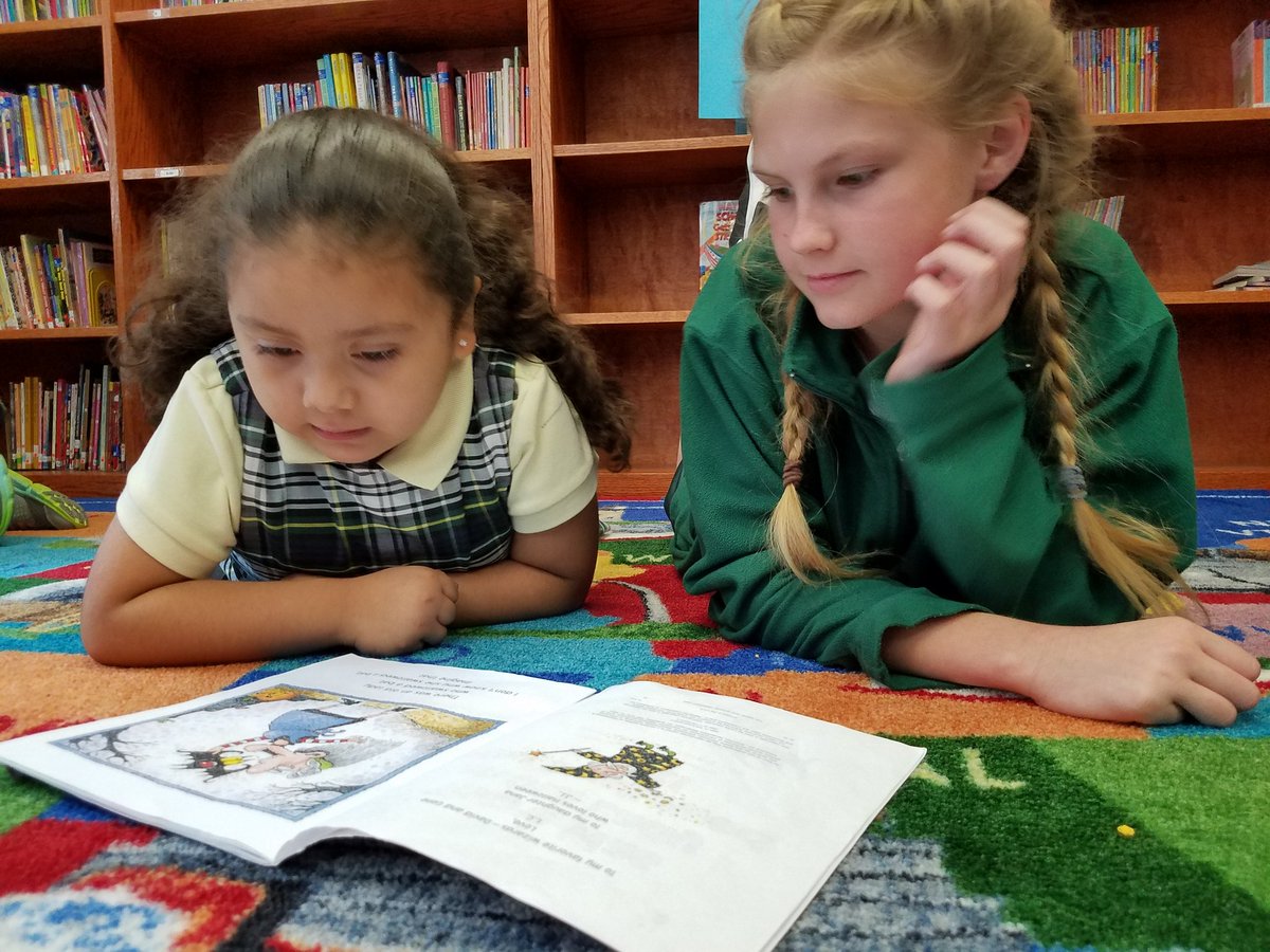 Dana Nicholson tweet media