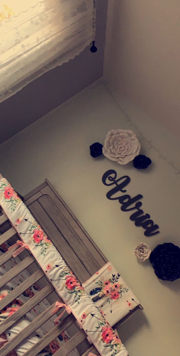 sallyfishsticks's tweet photo. 53 days till our little person fills this room😍💕 https://t.co/vshVoZUq5r