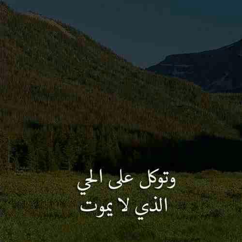 توكلنا علي الحي الذي لا يموت ..