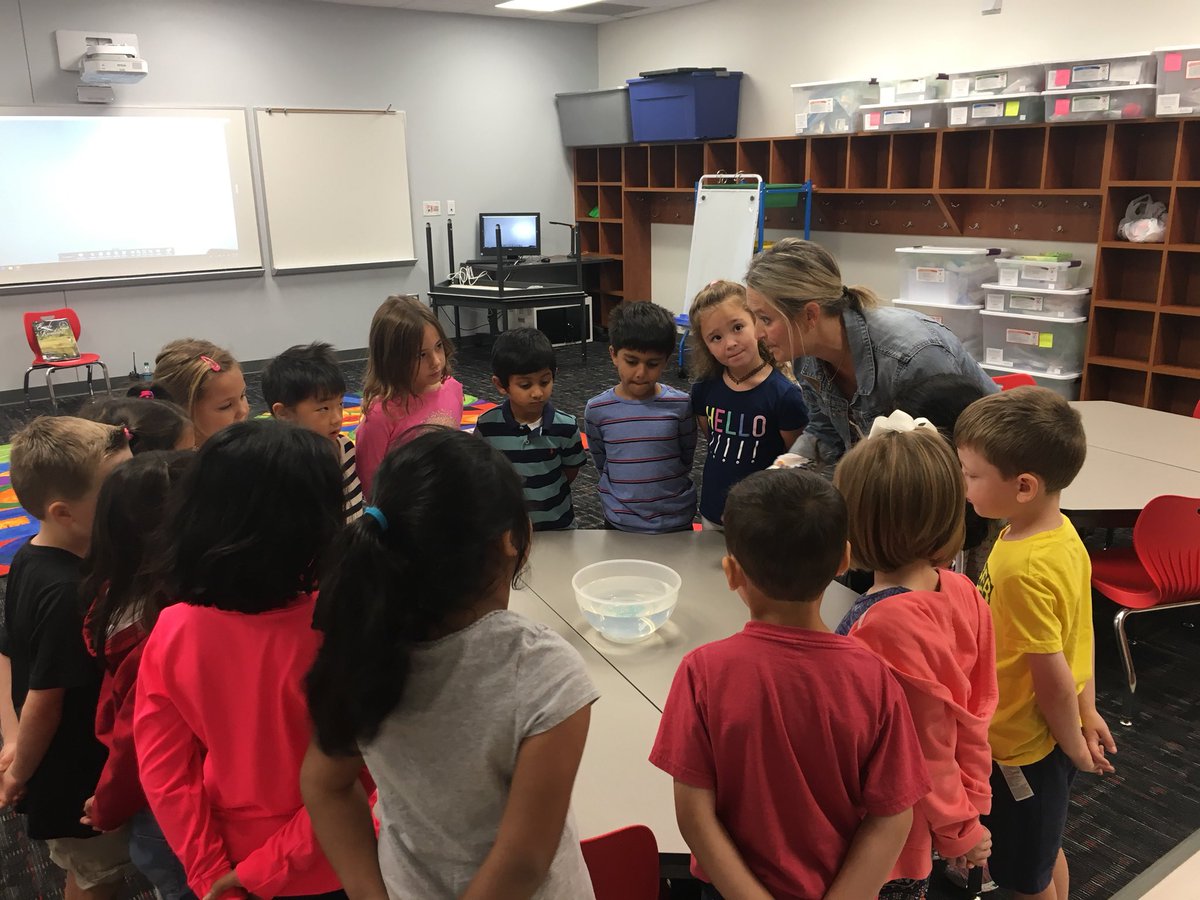 Albrightkinder's tweet photo. Principal Walker read us a book about kindness and then we joined her for a kindness activity. We dropped a pebble in a bowl of water and watched the ripples that followed.#spreadkindness #Prestonelementary https://t.co/wLtqWuLBLd