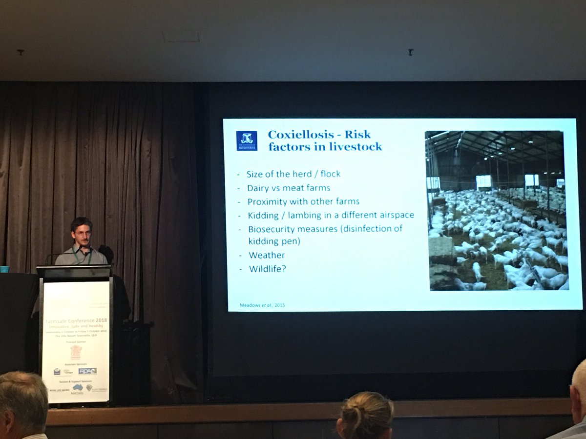 Tabita Tan tweet media