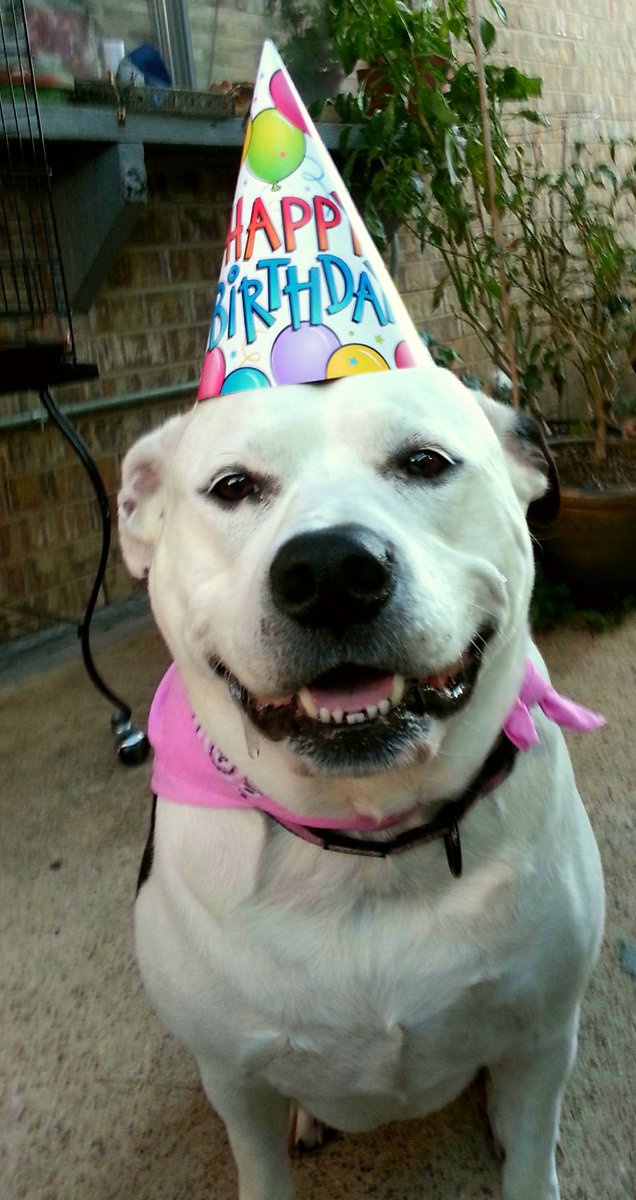 Lillybug2302's tweet image. Happy birthday #Sawman Have a great time @NASCAR