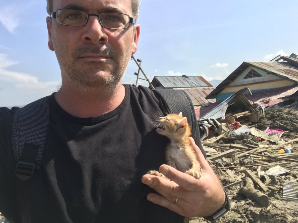 jamesmassola's tweet image. An abandoned kitten I rescued from a house in Petobo. #palu #palugempa