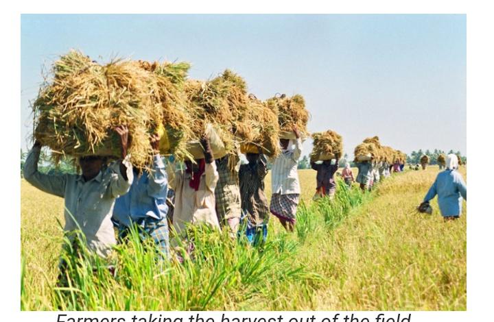 Chinni42365584's tweet photo. Andhra Pradesh is pushing for a chemical-free agricultural practice of zero budget natural farming (ZBNF), which it plans to scale up from about 160,000 farmers currently to six million by 2024.
@FundAgroEcology @SIFFInd #ZeroBudgetNaturalFarming @ApZbnf #CBNatUN @ndtv @CNNnews18 https://t.co/HnTfIks8fi