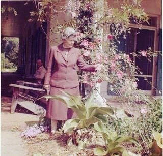 Oak_Alley's tweet photo. Oak Alley Foundation is a non profit organization created by Josephine Armstrong Stewart.  Our mission is to preserve the mansion and grounds as a monument to the time in which it was built and to share its history to the public in general.  We thank Mrs… https://t.co/PRVwVW84VB https://t.co/Udy6uB89Rg