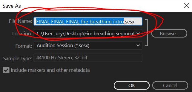 EmilyWoodbury's tweet image. And, we&apos;re at that point in the evening. #audioediting #editingprobs #pubradiolife