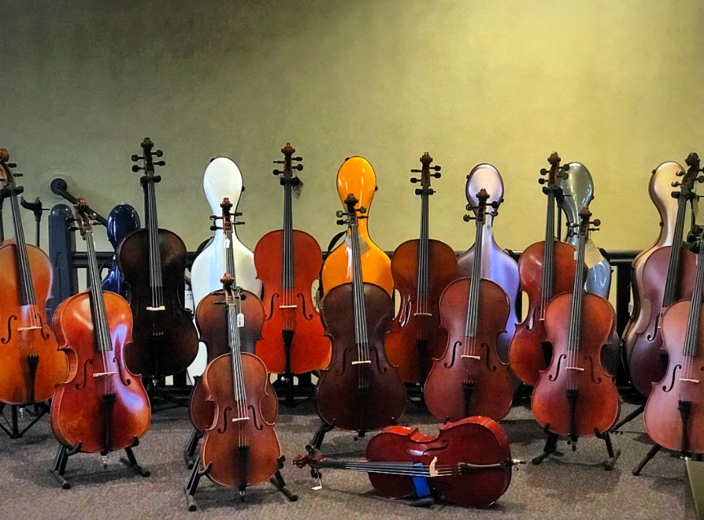 LogansPianos's tweet photo. "Family photo guys, everyone crowd in"
#cello #cellos #cellist #gligaviolins #strad #violin #viola #doublebass #cellocase #stringteacher #celloteacher #cellostude #classicalmusic #chinesecellos #germancello #ottojoskleir https://t.co/mexXd7Awxj