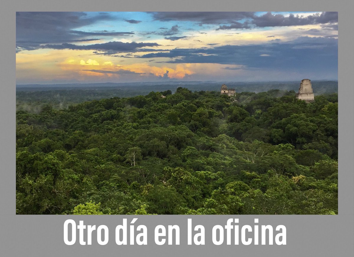 CIE_UVG's tweet photo. Luego de una jornada intensa en la escuela de Uaxactún tuvimos la oportunidad de disfrutar el atardecer en Tikal, orgullosos de ser guatemaltecos! #nosparecemosmas #tikal https://t.co/SGpHzxcUPc